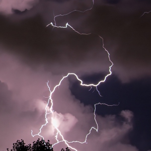 lightning-scaled